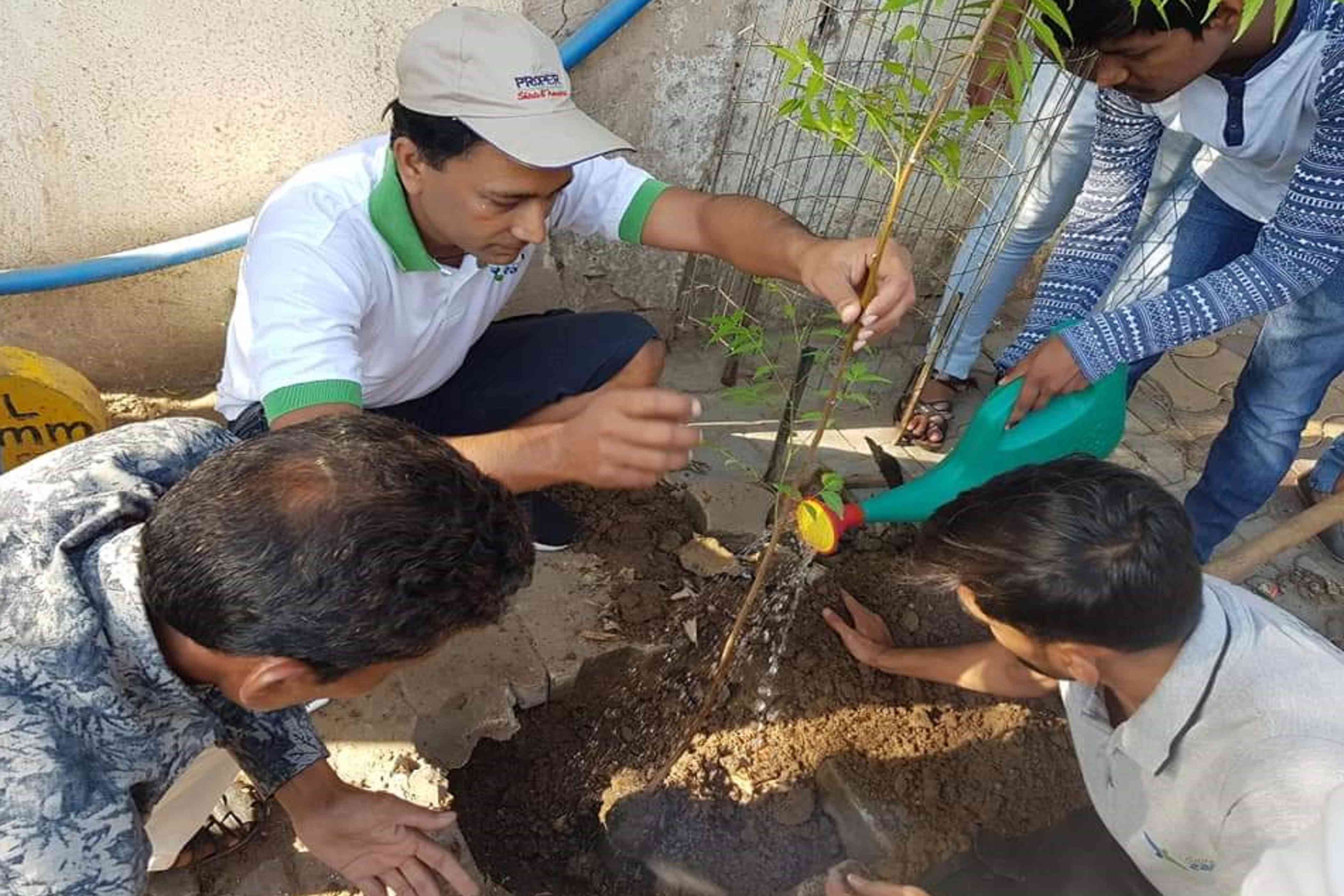 Four employees planting and watering the plant